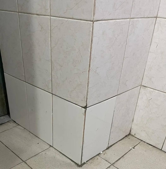 ул. Пушкинская, д. 6 — отремонтировали плитку